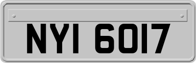 NYI6017