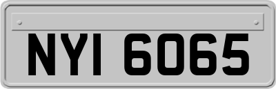 NYI6065