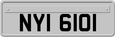 NYI6101