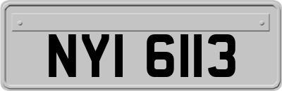 NYI6113