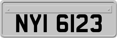 NYI6123