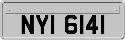 NYI6141