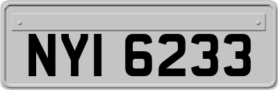 NYI6233