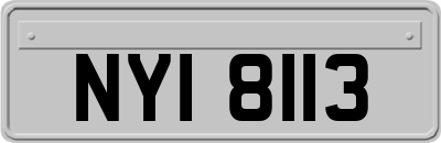 NYI8113