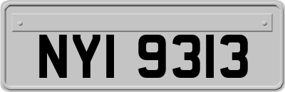 NYI9313