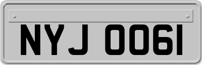 NYJ0061