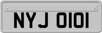 NYJ0101