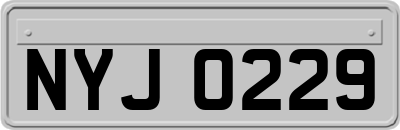 NYJ0229