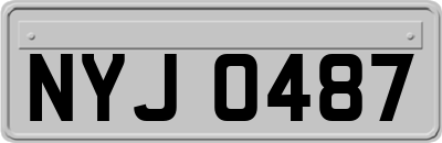 NYJ0487