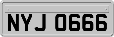 NYJ0666