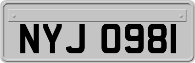 NYJ0981