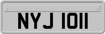 NYJ1011
