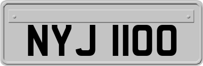 NYJ1100