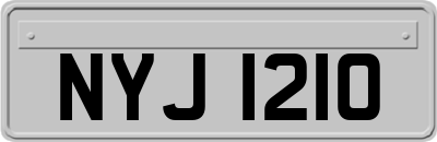 NYJ1210