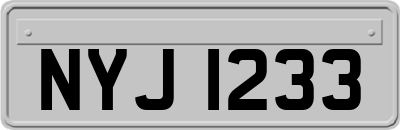 NYJ1233