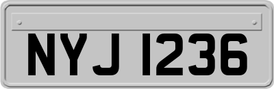 NYJ1236