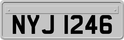 NYJ1246