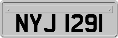 NYJ1291