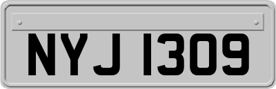 NYJ1309