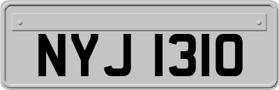 NYJ1310