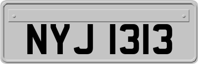 NYJ1313