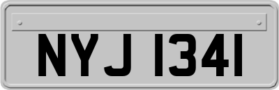 NYJ1341