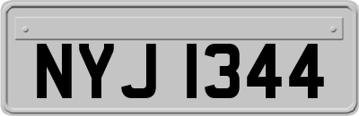 NYJ1344