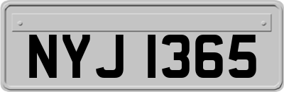NYJ1365