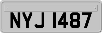 NYJ1487