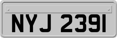 NYJ2391