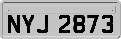 NYJ2873