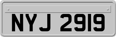 NYJ2919