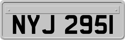 NYJ2951