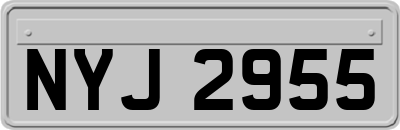 NYJ2955