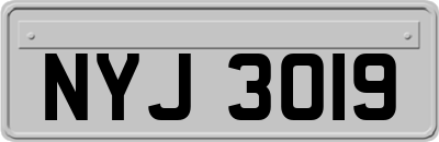 NYJ3019