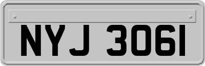 NYJ3061