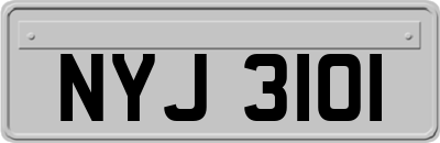 NYJ3101