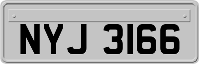 NYJ3166