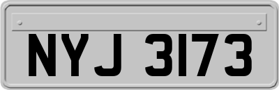 NYJ3173