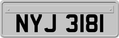 NYJ3181