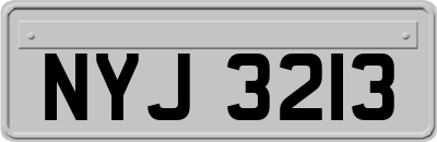 NYJ3213
