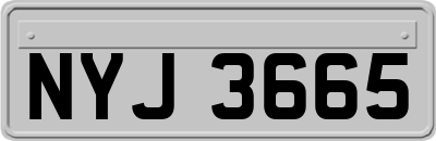 NYJ3665
