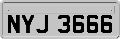 NYJ3666