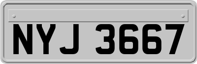NYJ3667