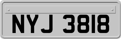 NYJ3818