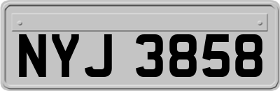 NYJ3858