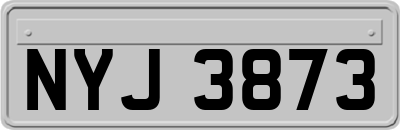 NYJ3873
