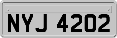 NYJ4202