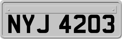 NYJ4203