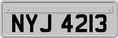 NYJ4213